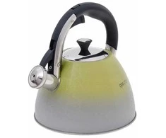 Kamille Virdulys 2,5l,nerūdijantis plienas, dvispalvis, Doriano