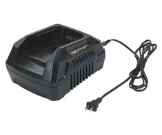 Pakrovėjas baterijos TEXAS 40V