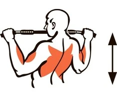 Prie sienos montuojamas skersinis SANRO LT-PRO Baltas, iki 150kg