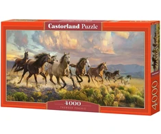 Castorland dėlionė ART kolekcija Thunder Prairie 4000 det.