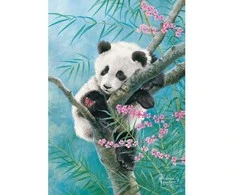 Castorland Dėlionė 500 vnt. - Panda