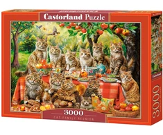 Castorland dėlionė Cat Family Reunion 3000 det.