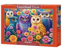 Castorland dėlionė Flower Owl Meeting 3000 det.