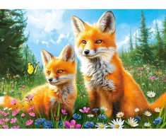 Castorland dėlionė Foxes In The Morning 260 det