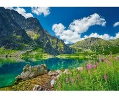 Castorland dėlionė Juodas Staw pod Rysami, Tatras, Poland 500 det