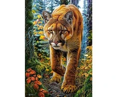 Castorland dėlionė Mountain Lion in The Forest 1500 det.