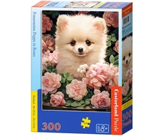 Castorland dėlionė Pomeranian Puppy in Roses 300 det.
