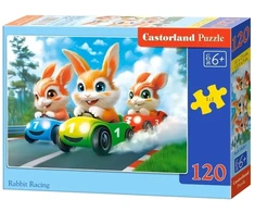 Castorland dėlionė Rabbit Racing 120 det