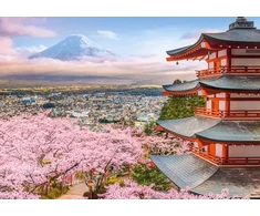 Castorland dėlionė Spring in Japan 500 det
