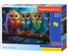 Castorland Dėlionė 300 vnt. - Trys pelėdos