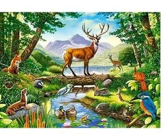 Castorland Dėlionė 300 vnt. - Miško harmonija