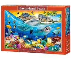 Castorland Dėlionė 1000 vnt. - Delfinai atogrąžose