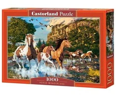 Castorland dėlionė Horse Wonderland 1000 det