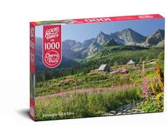 Cherry Pazzi CherryPazzi dėlionė Gasienicowa hall in Tatras 1000 det.