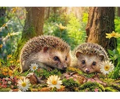 Timaro CherryPazzi dėlionė Cute Visitors 500 det