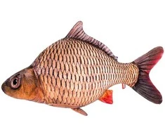 Fancy minkštas Karpis 50 cm