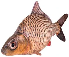 Fancy minkštas Karpis 50 cm