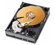 Coreparts 250GB 3,5" IDE 8MB 7200RPM *Refurbished Parts* (Atnaujinta)