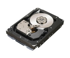 „Dell“ 300 GB 2,5 colio SAS-2 (6 Gb/s) serverio diskas (H8DVC)