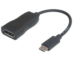 USB adapteris Garbot USB-C - DisplayPort Juodas (31.20.9006)