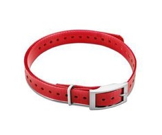 Garmin 3/4" Apykaklės dirželis, Raudona