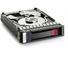 Hewlett Packard (HP) 1Tb 7.2K RPM SATA **Refurbished** (Atnaujinta)