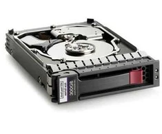 Hewlett Packard (HP) 300GB 15kADrive **Refurbished** (Atnaujinta)