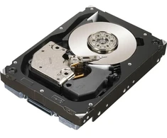 Hewlett Packard (HP) 450GB 15K SAS 3.5" DP NHP" **Refurbished**