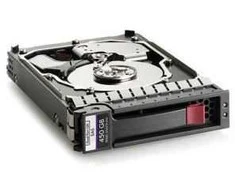 Hewlett Packard (HP) 450GB 15K SAS 3.5 DP HDD **Refurbished** (Atnaujinta)