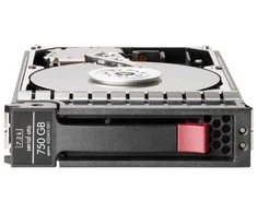 Hewlett Packard (HP) 750GB 3.5 Inch SATA, NCQ **Refurbished** (Atnaujinta)