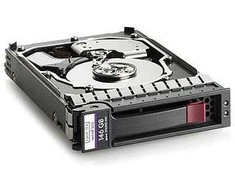 Hewlett Packard (HP) DRV,HD, 146GB 10K 2.5 SAS SP **Refurbished** (Atnaujinta)