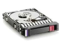 Hewlett Packard (HP) HDD 250GB 3,5inch **Refurbished** (Atnaujinta)