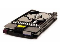 Hewlett Packard (HP) HDD,146.8GB,SCSI3 U320 10K **Refurbished** (Atnaujinta)