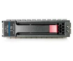 Hewlett Packard (HP) P2000 2TB 3G SATA 7.2K 3.5in M **Refurbished** (Atnaujinta)