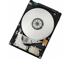IBM 300GB 3.5'' SAS-2 (6Gb/s) serverio diskas (43X0808)