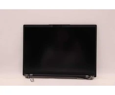 Lenovo 14-inch WUXGA hybrid display assembly