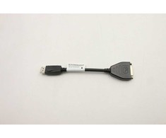Adapteris AV Lenovo CABLE DP to DVI Dongle
