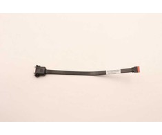 Lenovo 250 mm COM1 vidinis kabelis
