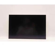 Lenovo DISPLAY AUO 16.0 WUXGA IPS AG diskas
