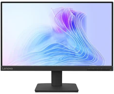 Lenovo L22-4E Monitorius (22")