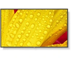 Monitorius NEC M651-2 65 colių UHD 500CD/QM - LED 24/7 SDM CM