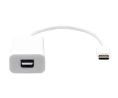 ProXtend USB adapteris USB-C į Mini DP 20cm baltas