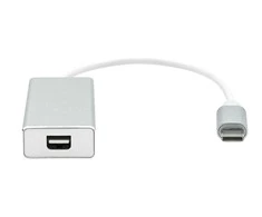 Proxtend USB-C į Mini DP 20 cm sidabrinis