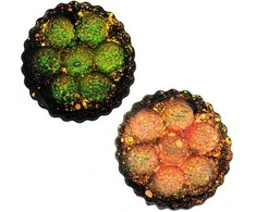 Antistresinis žaislas Pyragėlis, 8 cm - Oranžinė
