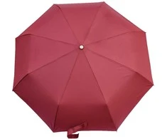 Automatinis priešvėjinis skėtis - Bordo