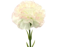 Baltai rožinis dirbtinis gvazdiko žiedas ant koto, 58 cm