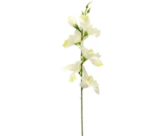 Baltai žalias dirbtinis kardelis ant koto, 57 cm