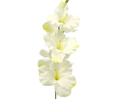 Baltai žalias dirbtinis kardelis ant koto, 57 cm