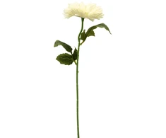Baltas dirbtinis astro žiedas ant koto, 50 cm