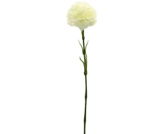 Baltas dirbtinis gvazdiko žiedas ant koto, 58 cm